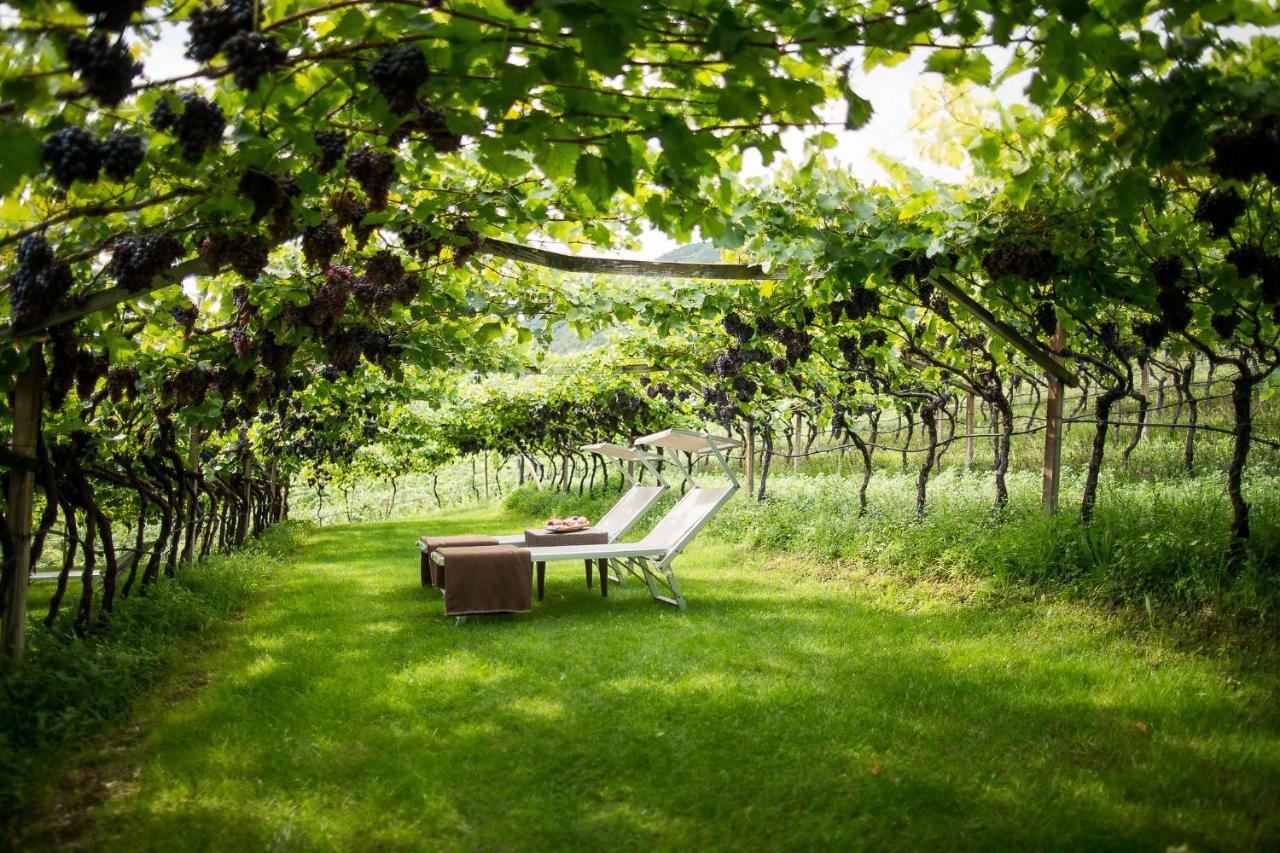 Hotel Haus Am Hang Caldaro sulla Strada del Vino Exterior foto